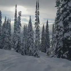 Overlooking the Columbia River from the top of Revelstoke