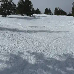 Fresh powder at Snowbasin on No Name