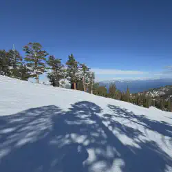 View from Heavenly